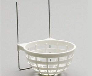 NID CANARIS plastique