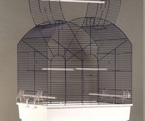 CAGE « Gabri »