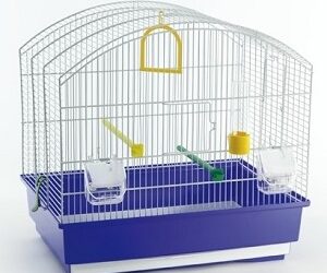 CAGE « Lilli »
