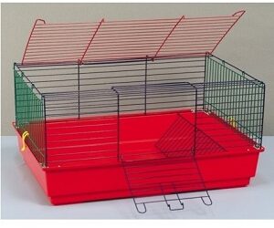 CAGE « Roger »