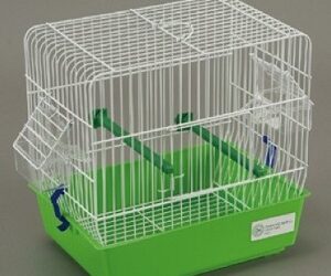 CAGE « Bengalino Quadra »
