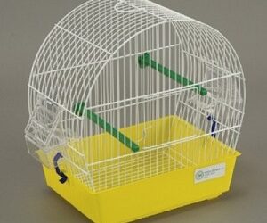 CAGE « Bengalino Tonda »