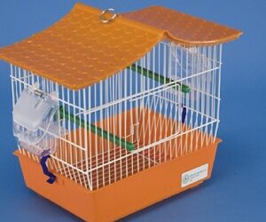 CAGE « Baby »
