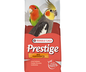PRESTIGE Grandes Perruches Euphèmes