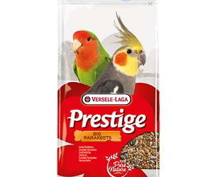 PRESTIGE Grandes Perruches
