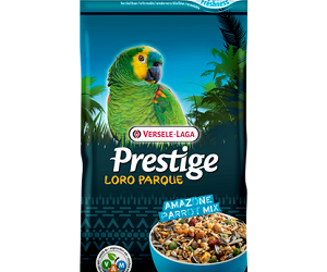 PRESTIGE LP Perroquets Amazone