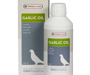 GARLIC OIL