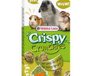 CRISPY Crunchies