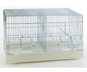 CAGE « Cova 50 »