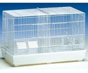 CAGE « Cova 2 »