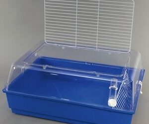 CAGE « Bugs »