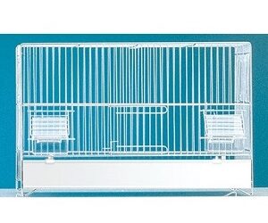 CAGE « Cova 45 »