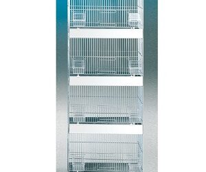 CAGE « Cova 45 Colonne »