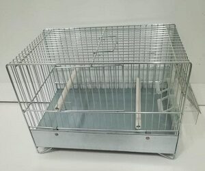 CAGE « Cova 30 »