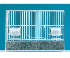 CAGE « Cova 40 »