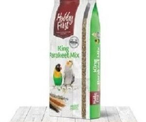 KING Grandes Perruches Australiennes