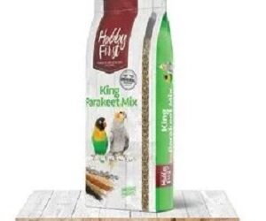 KING Grandes Perruches Sans Tournesol