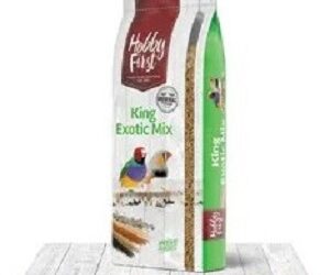 KING Exotiques Elevage Luxe