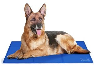TAPIS « Rafraichissant »