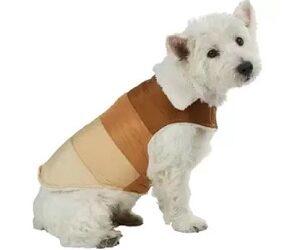 MANTEAU « Fourrure »