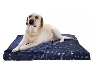 COUSSIN « XXL »
