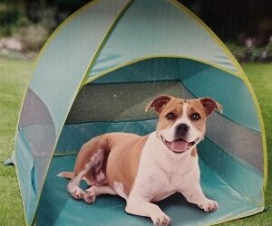 TENTE Pop-Up