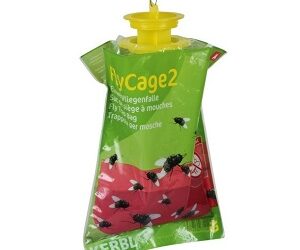PIEGE à mouches