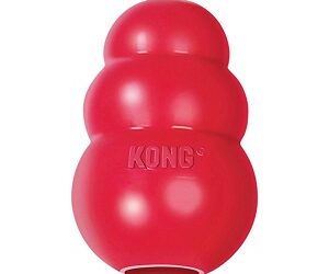 KONG Classic