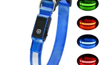 COLLIER Lumineux