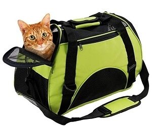 SAC de Transport
