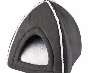 IGLOO