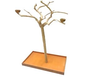 ARBRE de JAVA