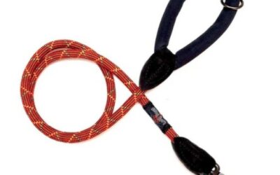LAISSE « Ronde Courte »