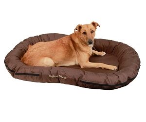 COUSSIN « Oxford »