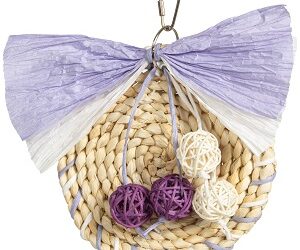 JOUET « Disque Violet »