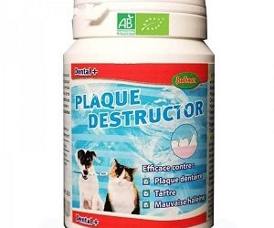 PLAQUE Destructor