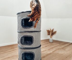 ARBRE A CHAT « Tony »