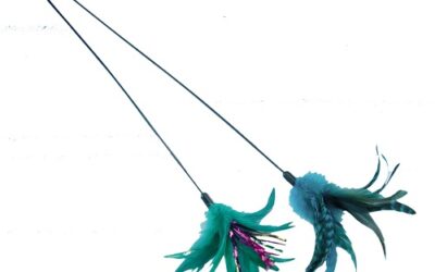 CANNE à Pêche Plume