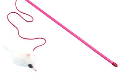 CANNE à Pêche Souris