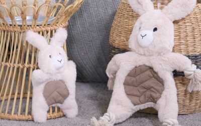 PELUCHE Lapin « Raffy »