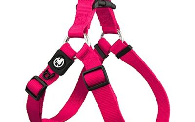 HARNAIS Lanière « Sport » XS – XXS