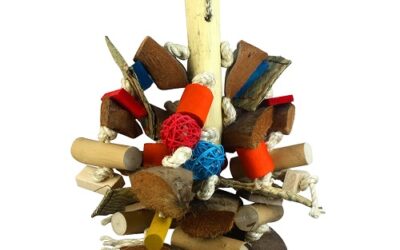 JOUET « Wood & Fun »