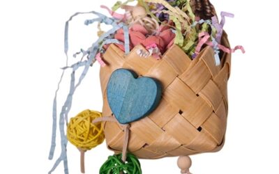 JOUET « Panier de Recherche »