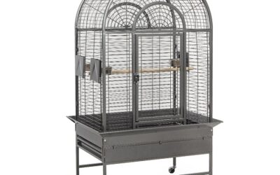 CAGE « New Jersey »
