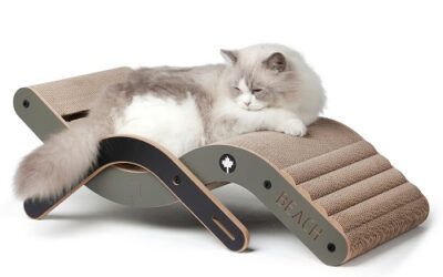 CHAISE Longue à Griffer