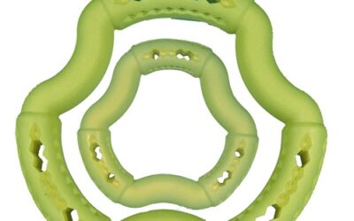 JOUET « Anneau Frutti »