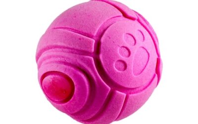 JOUET « Balle Frutti »
