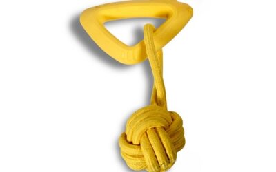 JOUET « Balle + Poignée Frutti »