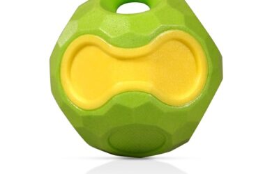 JOUET « Balle Frutti »