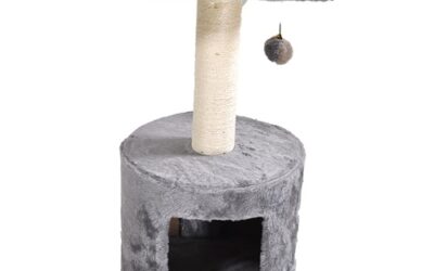 GRIFFOIR « Bongo »